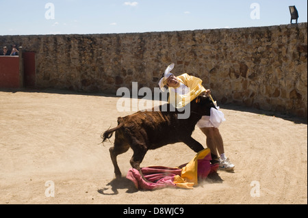 Stierkampf Durin Bachelorette und Bachelor Parteien in Madrid, Spanien. Stockfoto