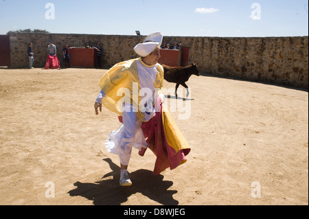 Stierkampf Durin Bachelorette und Bachelor Parteien in Madrid, Spanien. Stockfoto