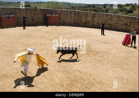 Stierkampf Durin Bachelorette und Bachelor Parteien in Madrid, Spanien. Stockfoto