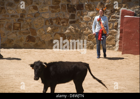 Stierkampf Durin Bachelorette und Bachelor Parteien in Madrid, Spanien. Stockfoto