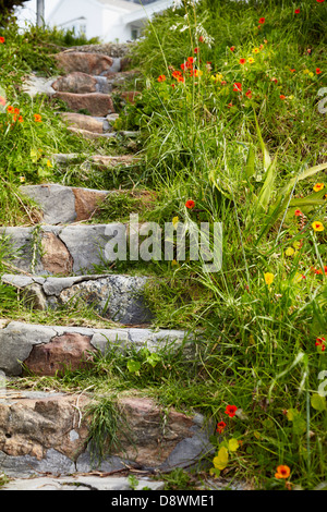 Blumen auf Steintreppen Stockfoto