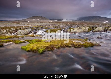 Fluss-Bach in der Nähe von Snøheim im Dovrefjell Nationalpark, Dovre, Norwegen. Der Berg Snøhetta, 2286 m ist im Nebel bedeckt. Stockfoto