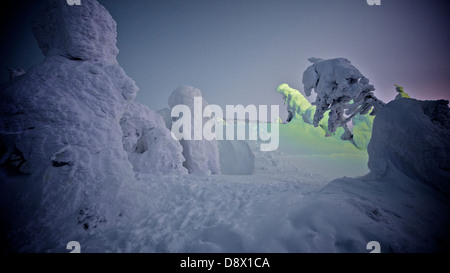 Schneebedeckte Bäume oben auf Mount Zao im Zao Ski Resort. Jeden Winter wird das Hotel bei Skifahrern und Besucher voll. Stockfoto