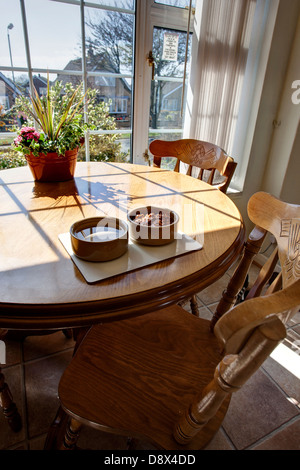 Bild von Arcanum-Serie zeigt Hund Schalen Set am Tisch, offen für Interpretationen der Zuschauer. Stockfoto