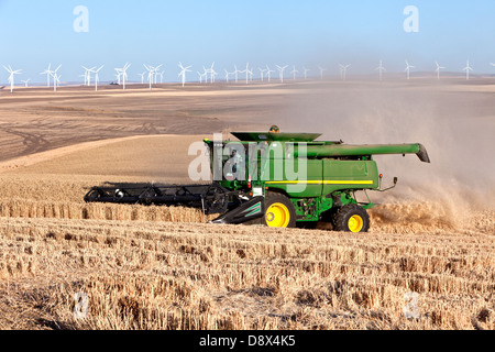 Kombinieren Sie beim Ernten von Weizen Stockfoto