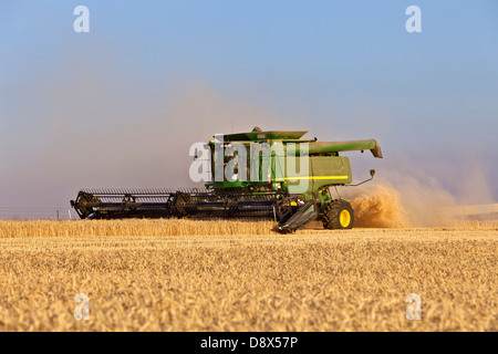 "John Deere" beim Ernten von Weizen zu kombinieren. Stockfoto