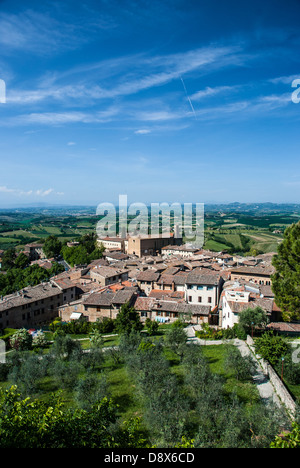 Weinberg und Oliven in der Toskana (Toscana), Italy.Rural Landschaft in der Nähe von San Gimignano, mittelalterliches Dorf. Stockfoto