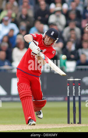 Nottingham, UK. 5. Juni 2013. Eoin Morgan zucken während der 3. Nat West eintägigen internationalen Cricket match zwischen England und New Zealand bei Trent Bridge Cricket Ground am 5. Juni 2013 in London, England, (Foto von Mitchell Gunn/ESPA/Alamy Live News) Stockfoto
