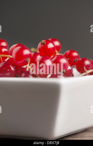 Nahaufnahme einer Schüssel rote Johannisbeeren Stockfoto