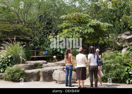 Zoologico de Cali, Cali Zoo, Cali, Kolumbien Stockfoto