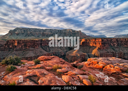 Zunächst Licht auf den North Rim an abgelegenen Toroweap Overlook in Arizona Grand Canyon National Park. Stockfoto