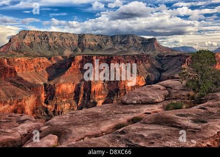 Abendlicht am Nordrand bei entfernten Toroweap Overlook in Arizona Grand Canyon National Park. Stockfoto