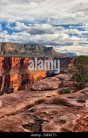 Abendlicht am Nordrand bei entfernten Toroweap Overlook in Arizona Grand Canyon National Park. Stockfoto