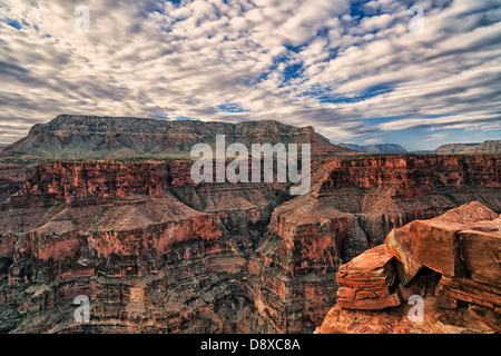 Morgenwolken über remote Toroweap Overlook auf den North Rim in Arizona Grand Canyon National Park. Stockfoto