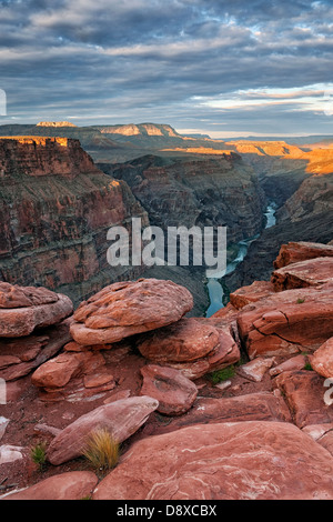 Erste Licht aus entfernten Toroweap Overlook auf den North Rim mit dem Colorado River in Arizona Grand Canyon National Park. Stockfoto