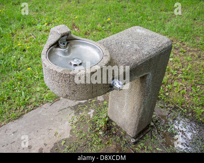 öffentliche Trinkwasser-Brunnen im park Stockfoto