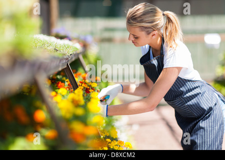 junge weibliche Florist arbeiten im Kindergarten Stockfoto