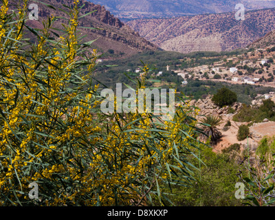 Hotel Cascades, Immouzer, Agadir, Marokko Stockfoto