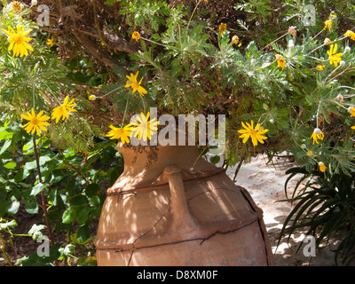 Hotel Cascades, Immouzer, Agadir, Marokko Stockfoto