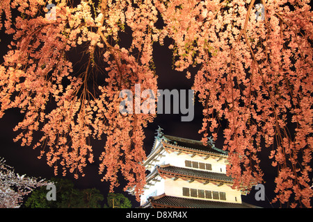 Leuchten von Hirosaki Schloss und Kirschblüten, Aomori, Japan Stockfoto