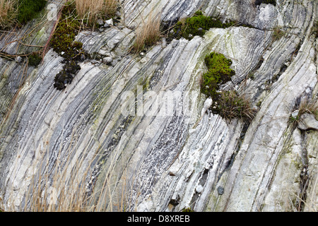 Forstwirtschaft an Polloch und Loch Shiel. Schicht Felsformationen Stockfoto