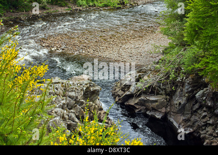 RANDOLPHS SPRUNG ÜBER DIE FELSEN AUF DEM RIVER FINDHORN IN DER NÄHE VON FORRES MORAY SCHOTTLAND Stockfoto