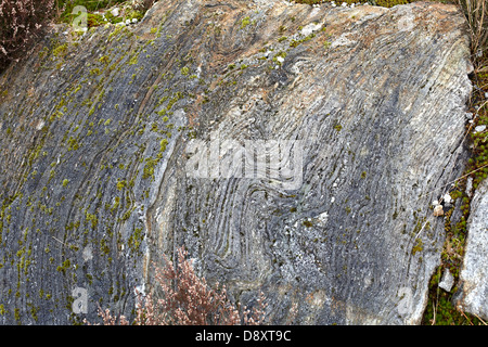 Forstwirtschaft an Polloch und Loch Shiel. Schicht Felsformationen Stockfoto