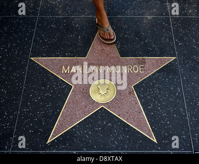 Terrazzo-Stern für Künstler Marilyn Monroe, Kategorie Film, Trommeln of Fame, Hollywood Boulevard, Hollywood, Los Angeles, California Stockfoto