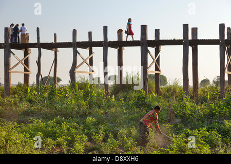 Gut gekleidete Frau Crossing U Bein Teakholz Brücke über den Taungthaman See, Myanmar, mit Landwirt schuften im Vordergrund Stockfoto