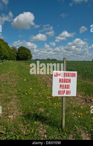 Melden Sie laufbaren Erhaltung Umgebung wachsenden Weizenfeld Stockfoto