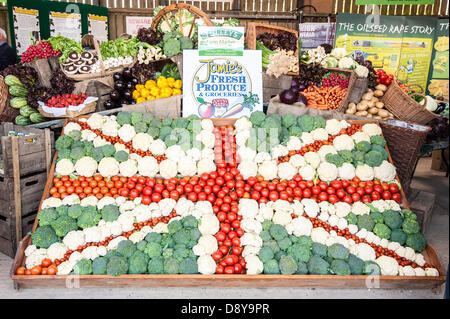 Ardingly, UK. 6. Juni 2013. Patriotische Gemüse speichrn auf dem Süden von England-Salon Ardingly. Bildnachweis: Julia Claxton/Alamy Live News Stockfoto