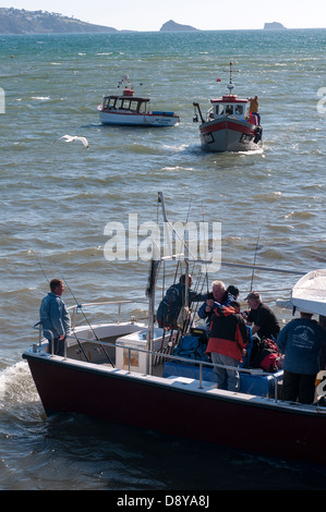Angelboot/Fischerboot, Paignton Hafen, Angelboote/Fischerboote verlässt Paignton Hafen, Boot, Angeln, Meer, Schiff, Trawler, klein, Ozean, Torbay Stockfoto