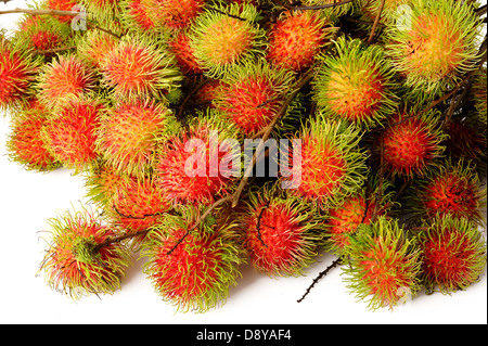 Rambutan Früchte auf weißem Hintergrund Stockfoto