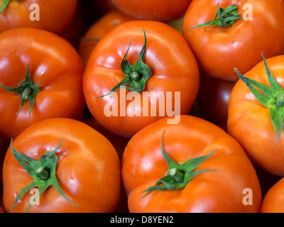 Frische Tomaten Stockfoto