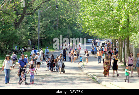 Menschen im park Stockfoto