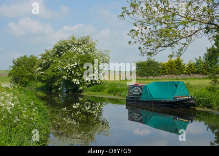 Narrowboat auf Lancaster Canal in der Nähe von Crooklands, Cumbria, England UK Stockfoto