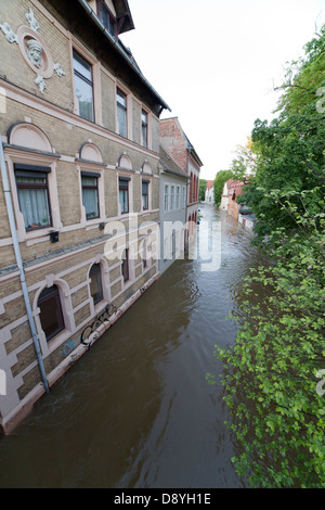 Hochwasser des Flusses Saale in Halle, Talstrasse, Deutschland 05. Juni 2013 Stockfoto