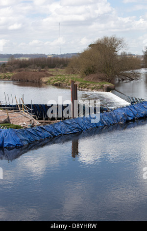 Piledriving arbeiten, die in den Fluss in Tamworth. Beim Bau einer Fischtreppe. F *** ab und lass mich in Ruhe Stockfoto