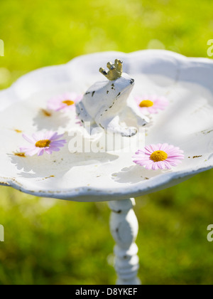 Figur der Frosch im Vogelbad Stockfoto