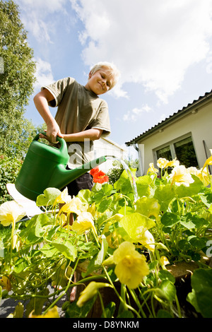 Junge Pflanzen im Garten gießen Stockfoto