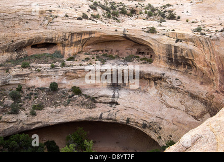 Butler Wash Ruinen - Utah Stockfoto