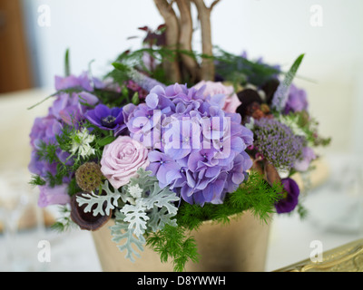 Eine Anordnung der Blumen in einem Blumentopf. Stockfoto