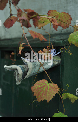 Zeitung im äußeren grünen Briefkasten mit Herbst Weinrebe wächst über Farben noch Leben Hintergründe Stockfoto