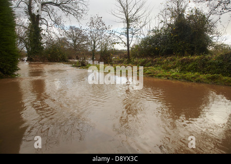 Eine Überschwemmung im Tal des Flusses Culm nach heftigem Winterregen, bei Rewe, bei Exeter, Devon, Großbritannien. Stockfoto