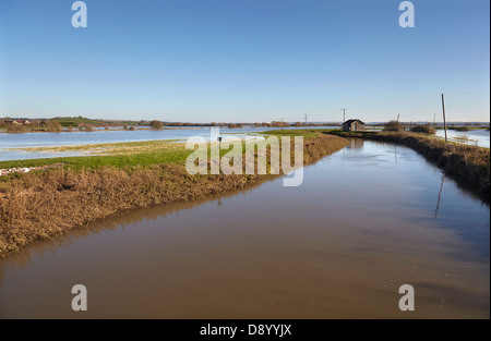 Überschwemmungen auf Ackerland entlang des Flusses Parrett nach starken Winterregen, in der Nähe von Martock, in den Somerset Levels, Somerset, Großbritannien. Stockfoto