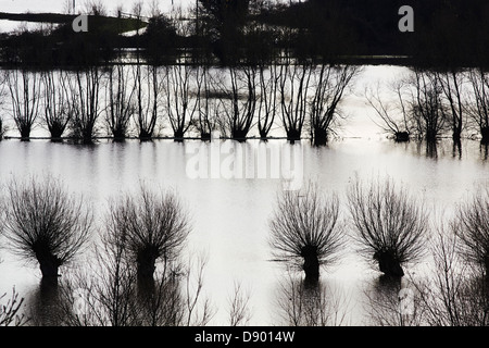 Winterüberflutung nach heftigem Regen entlang des Flusses Parrett, auf den Somerset-Ebenen, in Langport, Somerset, Großbritannien. Stockfoto