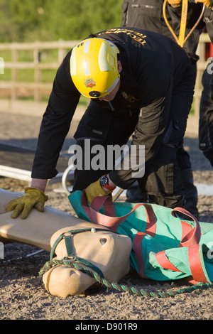 Humberside Fire und Rettungsdienst während einer Übung ein Pferd von einem Anhänger zu retten Stockfoto