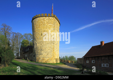 Bergfried der Burg Ravensberg in Borgholzhausen, Teutoburger Wald, Nordrhein-Westfalen Stockfoto