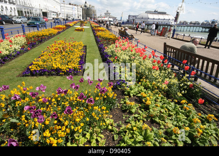 Eastbourne Carpet Gardens, zeigen Pier im Hintergrund Stockfoto