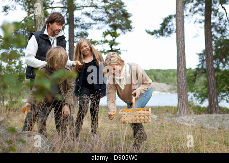 Familie mit zwei Kindern, sammeln von Pilzen Stockfoto